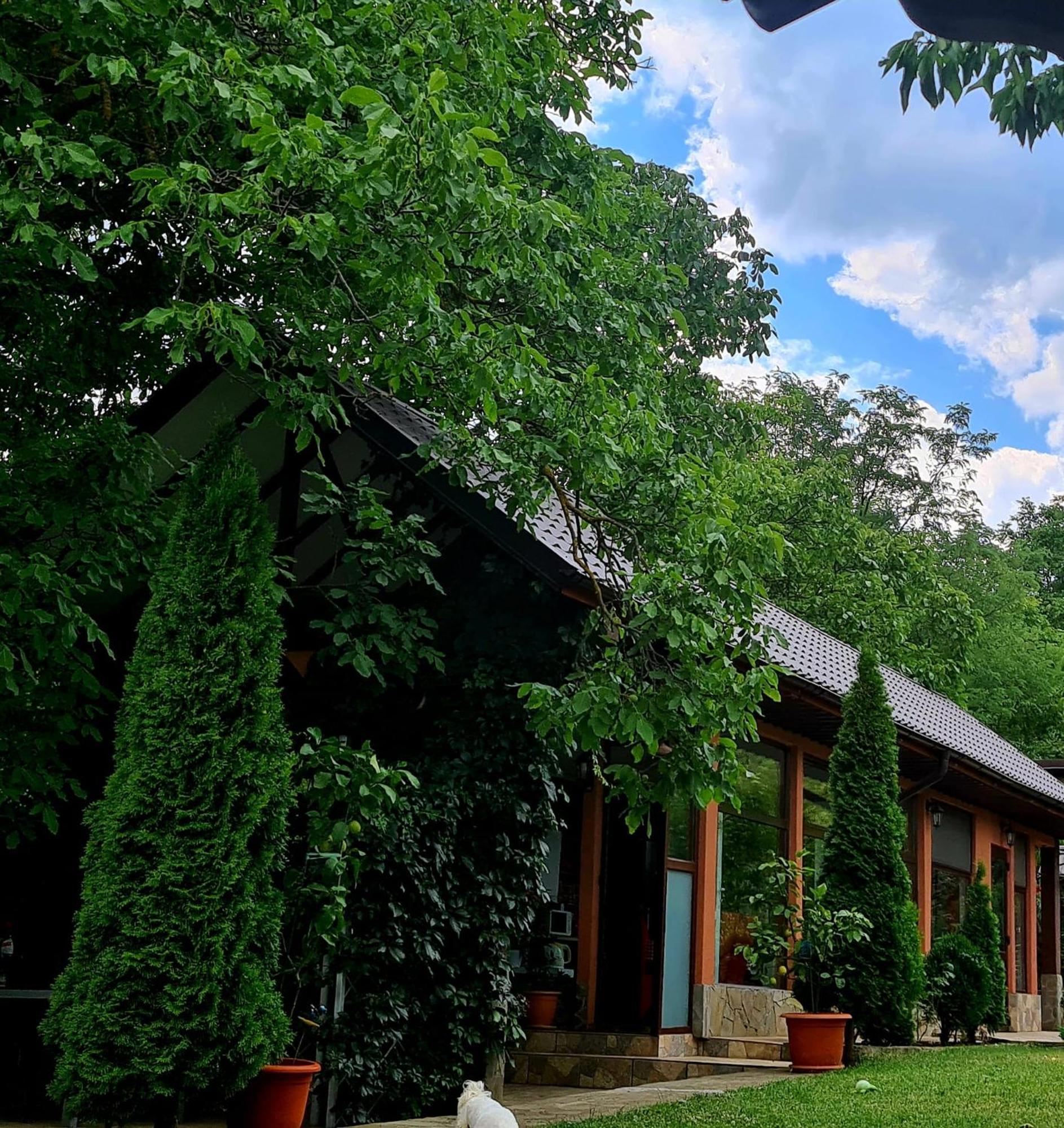 Casa Alex Hotel Sarata-Monteoru Luaran gambar
